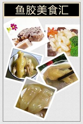 非洲野生開邊黃花膠 產地直銷，品質保證