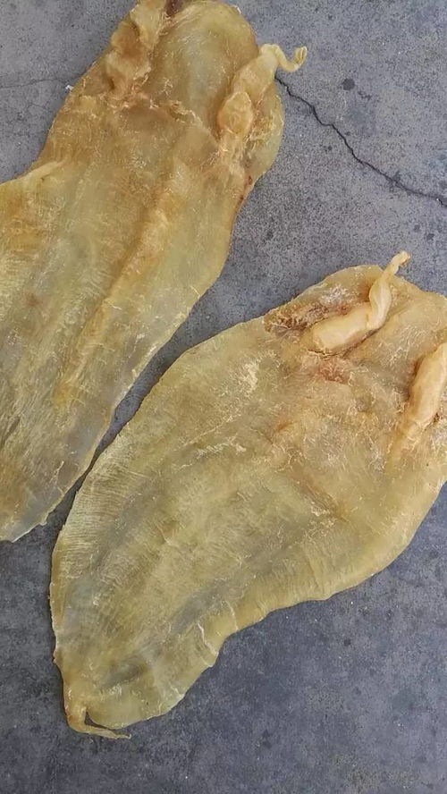 昌盛海味行 優質海產與海味干貨的批發與零售專家