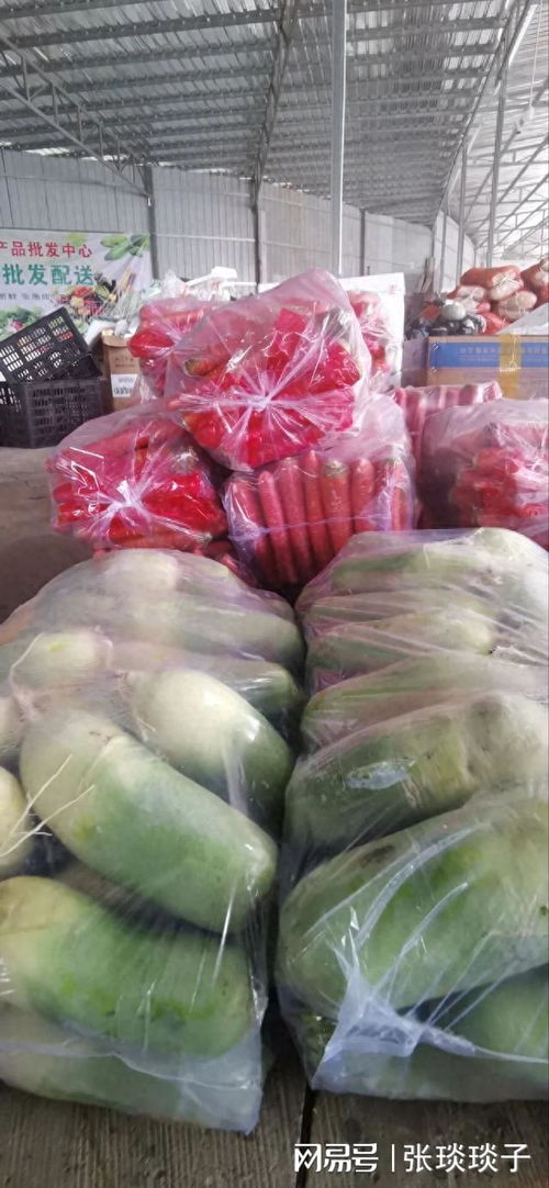 一份厚禮 南充嘉陵頭洞橋農產品批發中心國慶試營業，開啟海味干貨批發新篇章