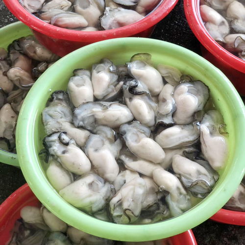 鮮活生蠔肉 海洋珍品的即食盛宴