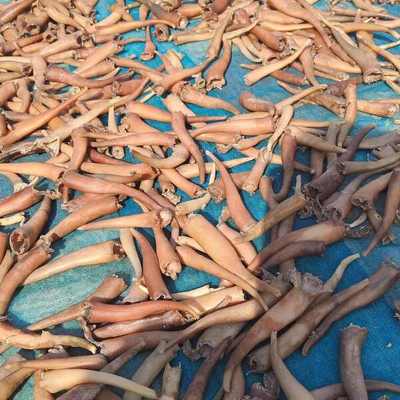 海竹干、海次干與海味干貨批發(fā)市場(chǎng)概述