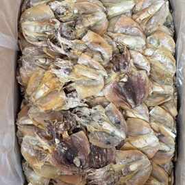 俄羅斯鮑魚 優(yōu)質(zhì)海味干貨批發(fā)指南