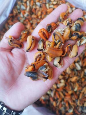 廣東廣州荔灣區(qū)貽貝批發(fā) 優(yōu)質(zhì)淡菜干，25.00元/斤實惠海味