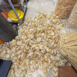 緬甸魚膠 海味干貨批發(fā)的珍寶