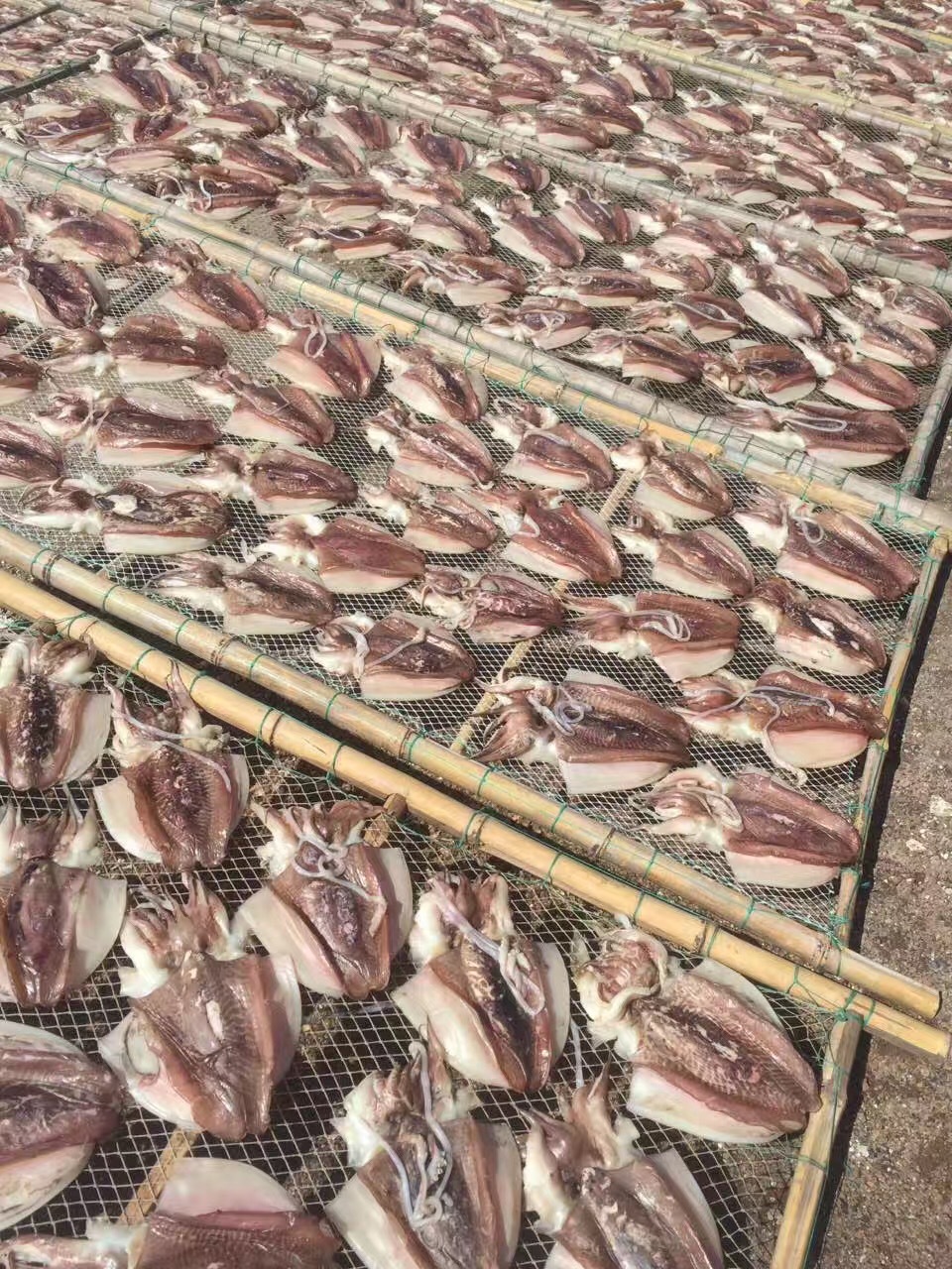 批發(fā)無頭魷魚干 優(yōu)質(zhì)海產(chǎn)干貨，500克海味干批發(fā)指南