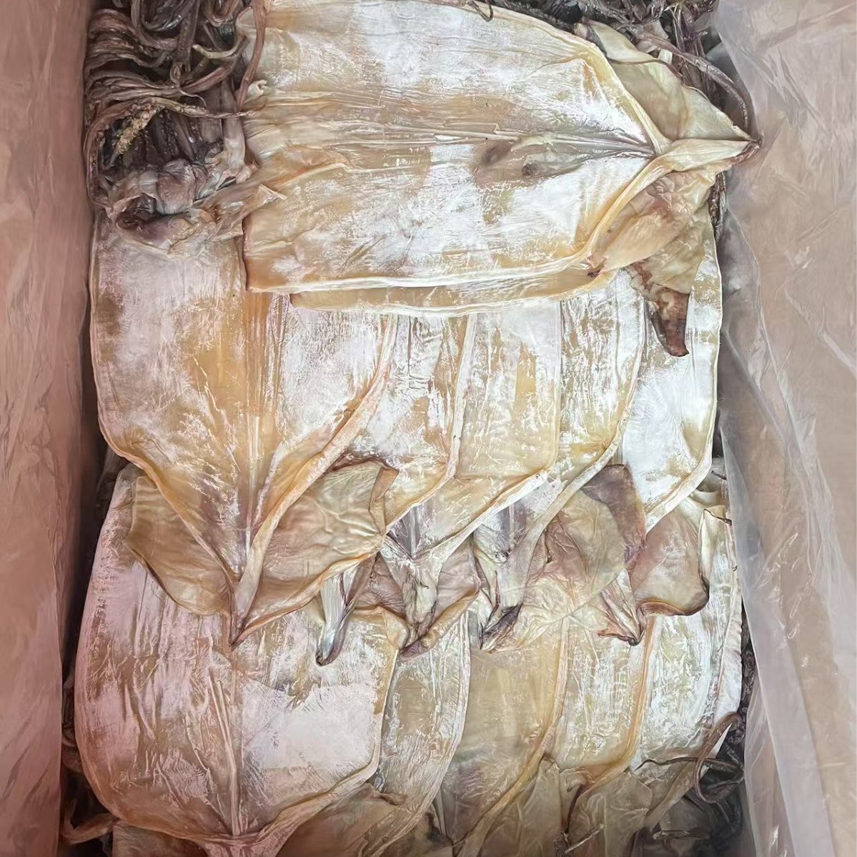 干貨批發(fā)市場的明珠 魷魚干的商業(yè)價值與批發(fā)策略