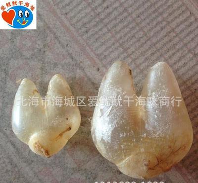 珍品薈萃，健康之源——探索巴巴批發(fā)綠色保健系列海味干貨